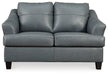 Genoa Loveseat - Affordable Home Luxury