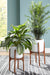 Dorcey Planter (Set of 2) - Affordable Home Luxury