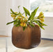 Capard Vase - Affordable Home Luxury