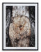 Freyburn Wall Art - Affordable Home Luxury