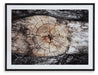 Freyburn Wall Art - Affordable Home Luxury