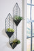 Dashney Wall Planter On Stand - Affordable Home Luxury