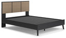 Charlang Panel Bed - Affordable Home Luxury