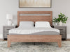 8 Inch Memory Foam Mattress - Affordable Home Luxury