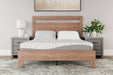 8 Inch Memory Foam Mattress - Affordable Home Luxury