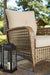 Braylee Lounge Chair with Cushion (Set of 2) - Affordable Home Luxury