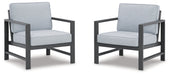 Fynnegan Lounge Chair with Cushion (Set of 2) - Affordable Home Luxury