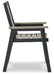 Mount Valley Arm Chair (set Of 2) - Affordable Home Luxury