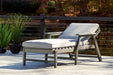 Visola Chaise Lounge with Cushion - Affordable Home Luxury